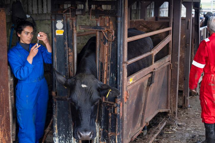 USDA-encourages-third-party-certification-for-animal-raising-claims-after-finding-widespread-misleading-negative-antibiotics-claims-in-cattle.jpg