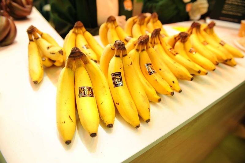 Saving-the-banana-New-black-Sigatoka-resistant-variety-developed.jpg