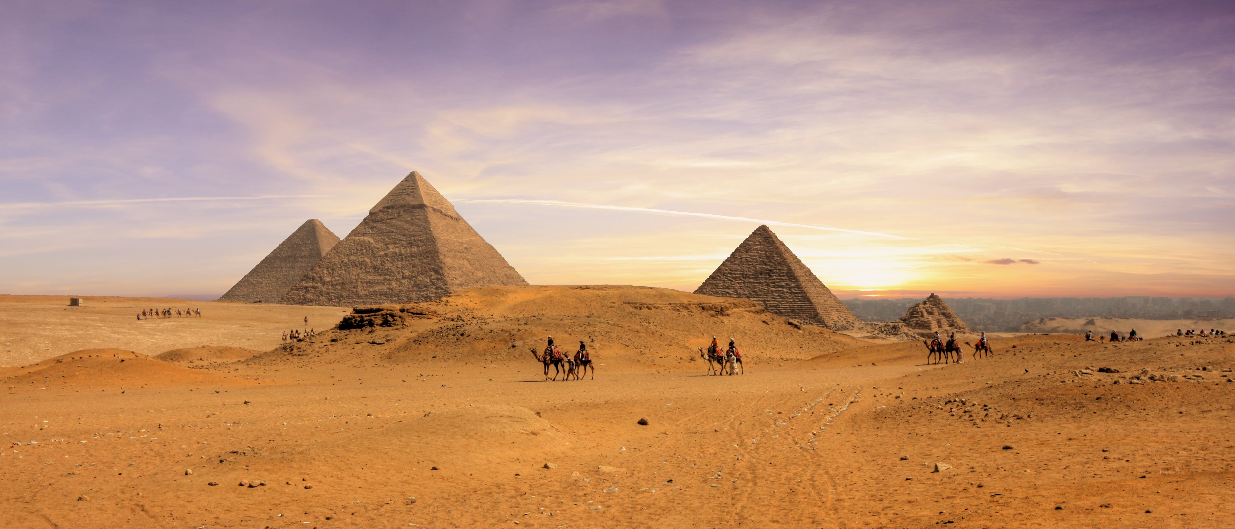 Can processed food exports ease Egypt’s currency crisis?