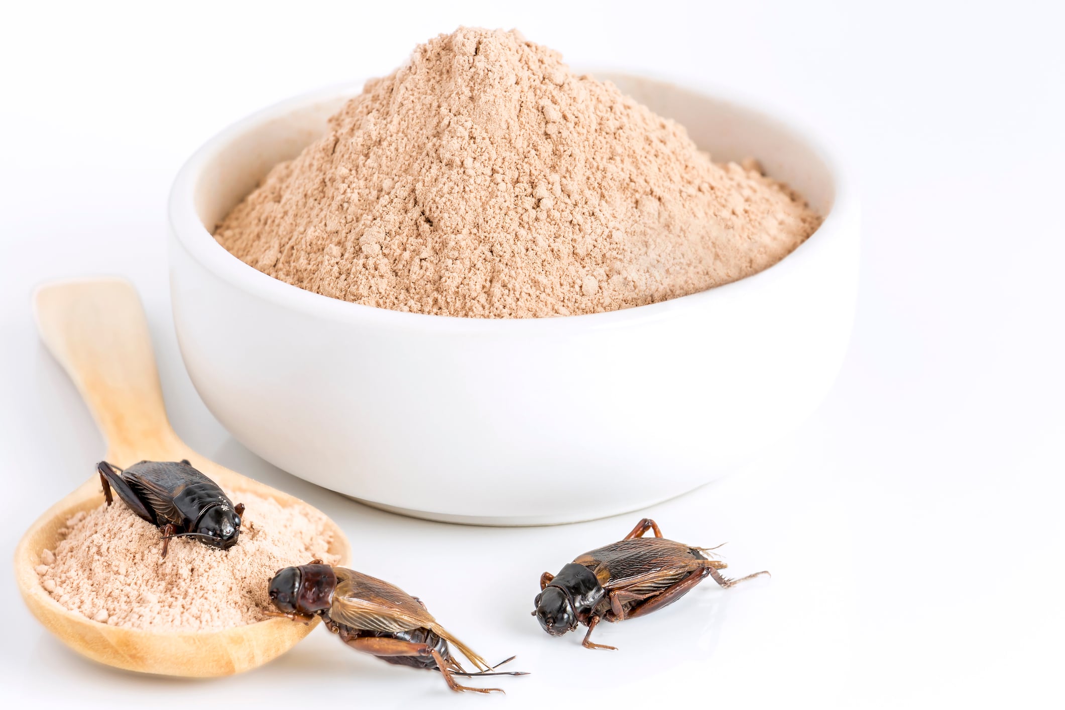 Best practice labelling guidelines unveiled for insect-based products