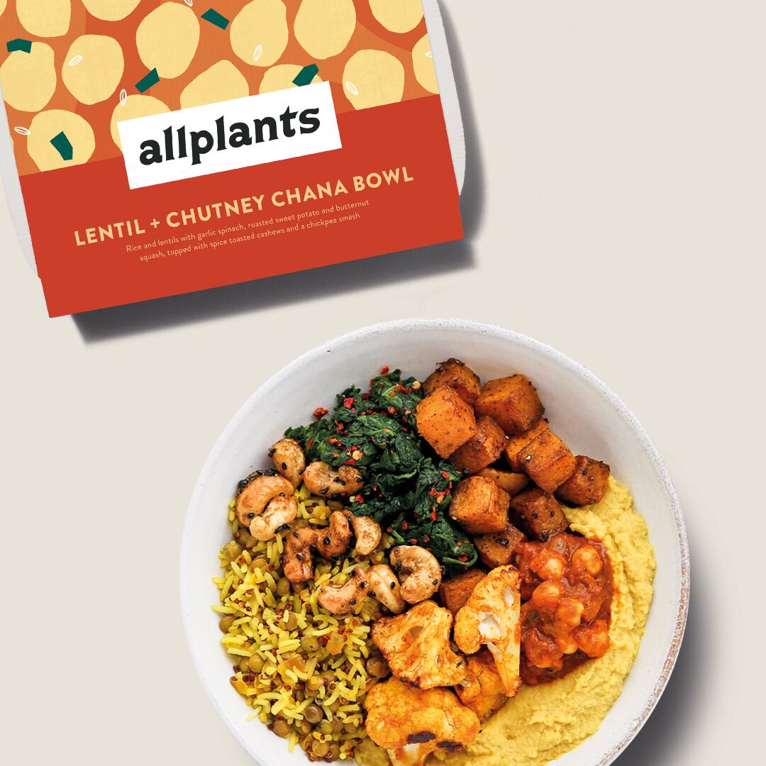 Vegan ready meals for lunch