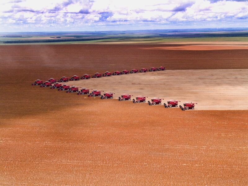 soybean-harvest-brazil-soy-deforestation-Copyright-alffoto.jpg