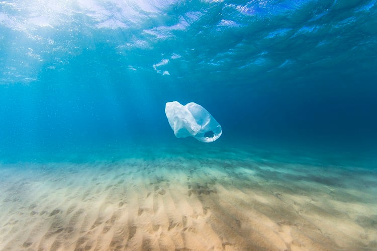 EU moves to ban ‘forever chemicals’ and light plastic bags, but throwaway packaging ‘still a long way off’