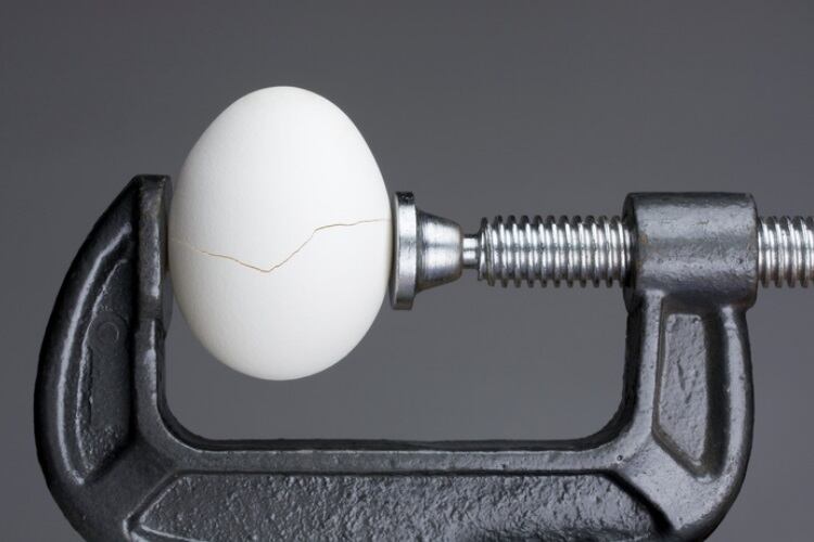 Eggflation, GLP-1 and the blame game: How politics and demand are scrambling the bakery industry