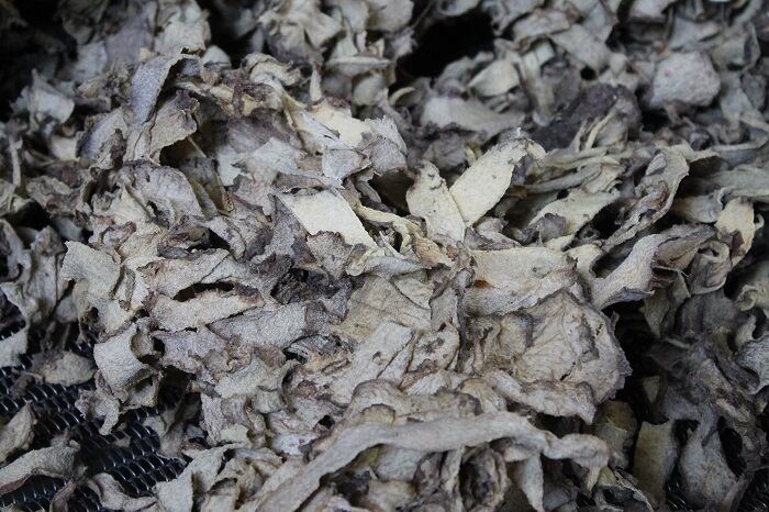 konjac-shredded-AR-Harrison-Dunn.jpg
