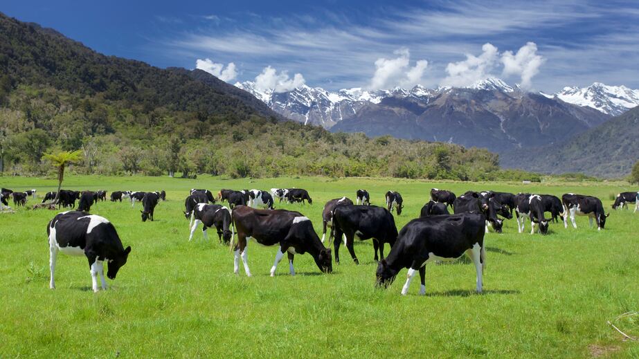 UK row over future food, farming and trade rumbles on as Lords amends Agriculture Bill 