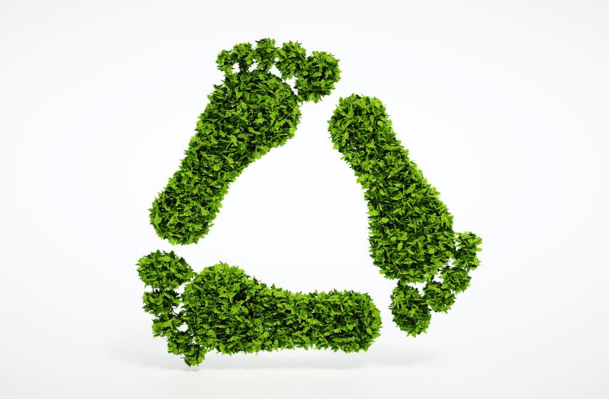 One bite at a time: tackling carbon neutrality