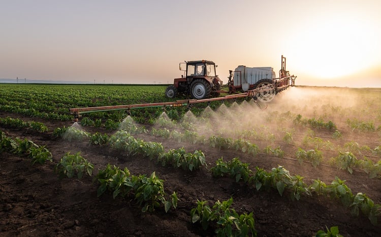 fertilizer-fotokostic.jpg