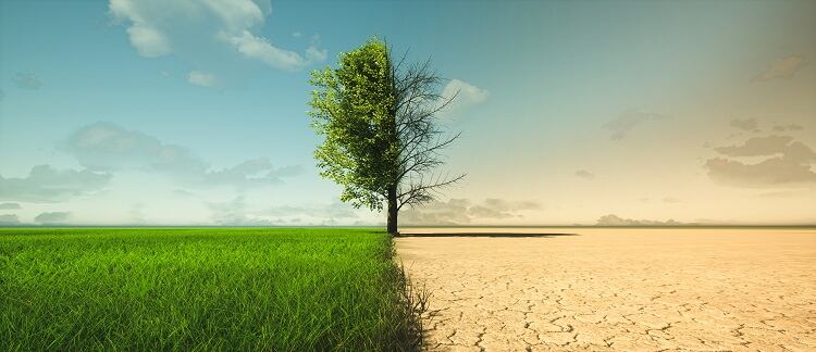 FAO-climate-change-lead-Kaveh-Zahedi-to-open-Climate-Smart-Food-2023.jpg