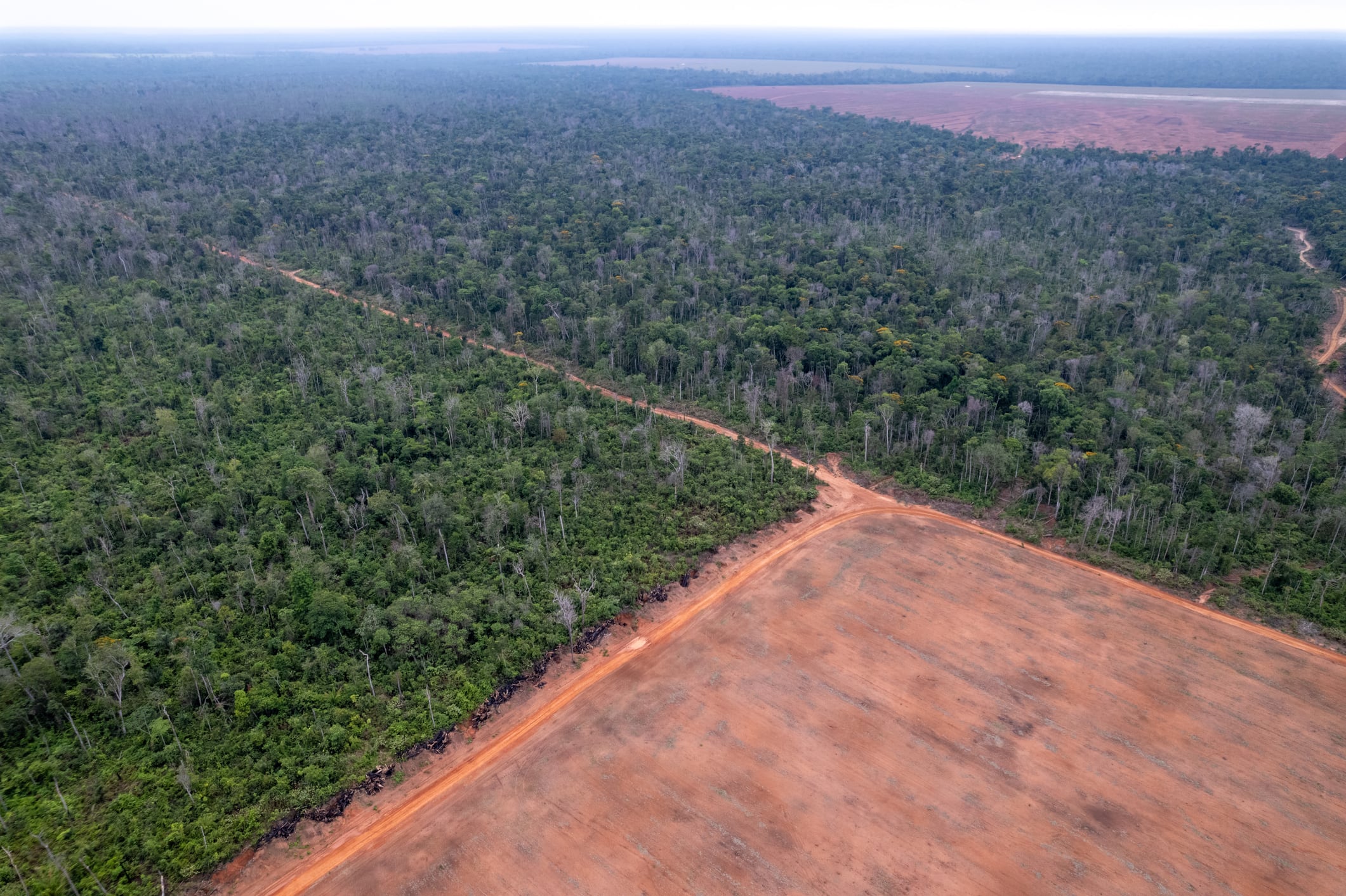 Illegal amazon deforestation drone panoramic aerial view, Mato Grosso, Brazil. Forest trees, soybeans agriculture field land. Concept of climate change, global warming, ecology, environment, nature.