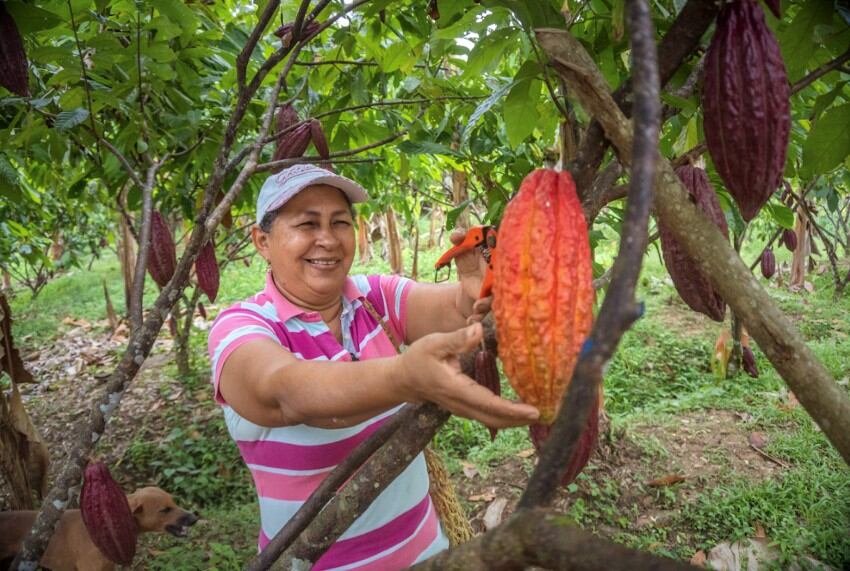 Mission accomplished: Luker Chocolate wraps up The Cacao Effect project