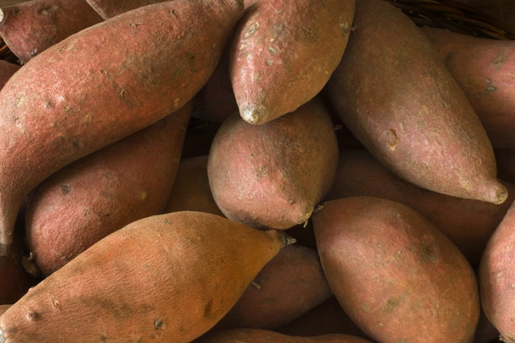 'Biofortified staples is a no-brainer': How vitamin-enriched foods can be a ‘gateway’ to accessible nutrition