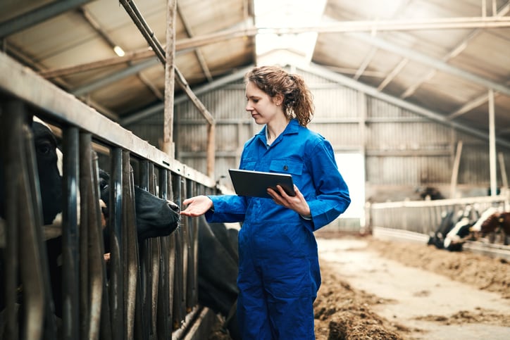 ‘It doesn’t cost the earth but will help us protect it’: Why data is a ‘critical and untapped’ asset for the meat farming sector