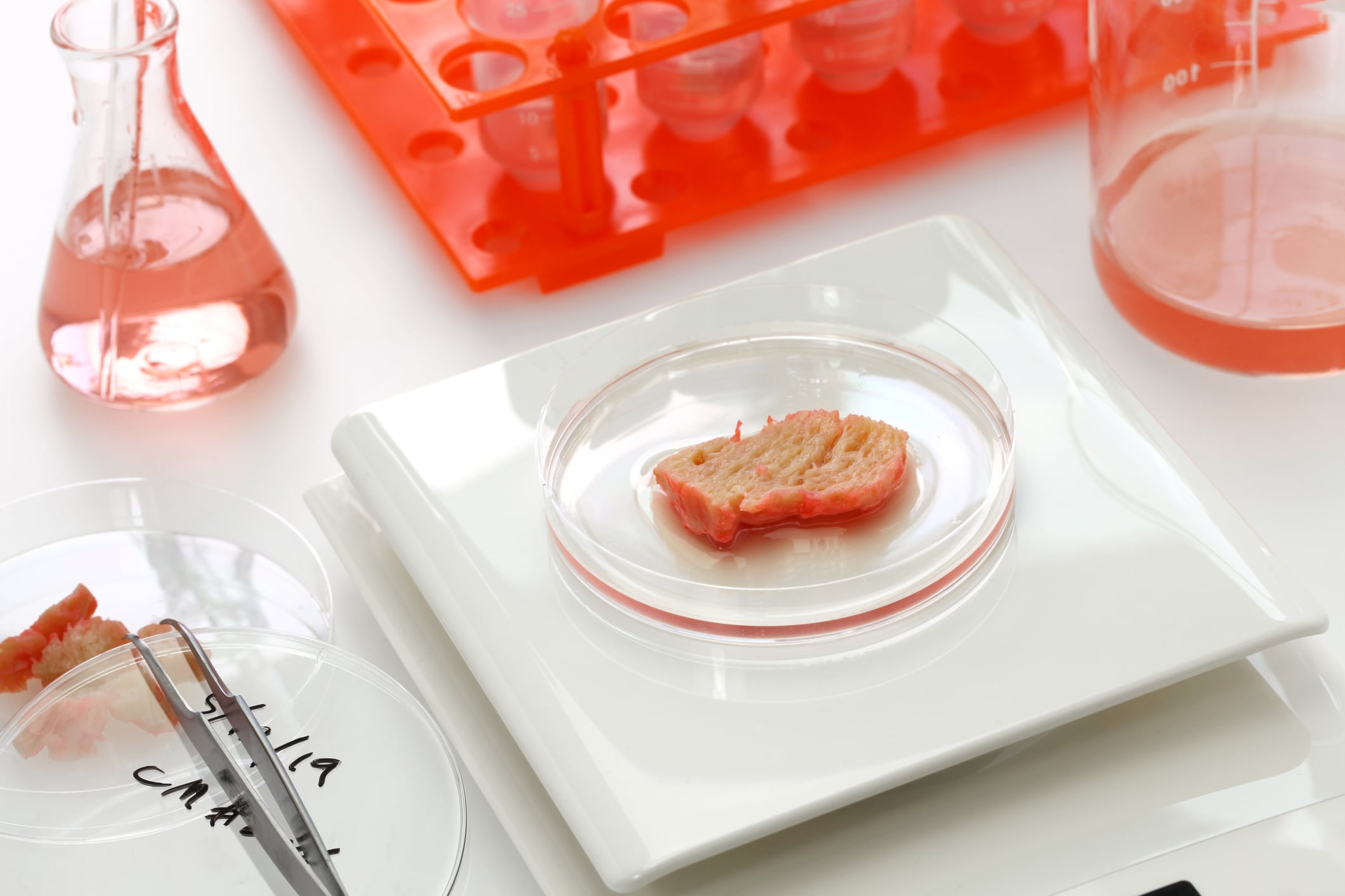 Gourmey cuts cultivated meat costs to €7/kg 