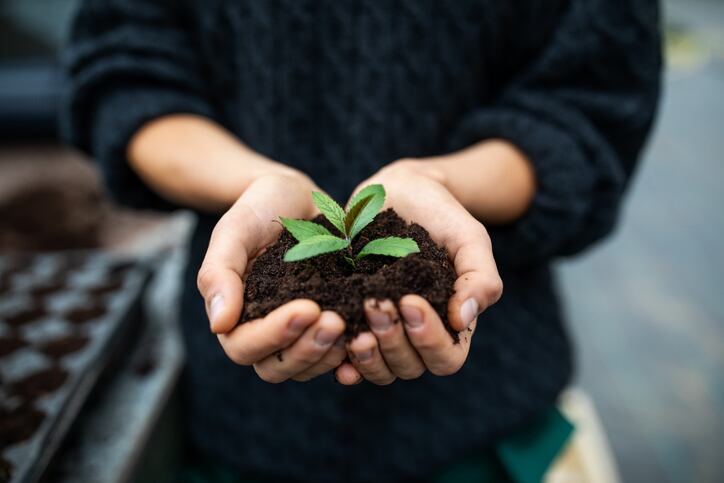 Digital application launched to give ‘innovative advice’ on steps to improve soil health