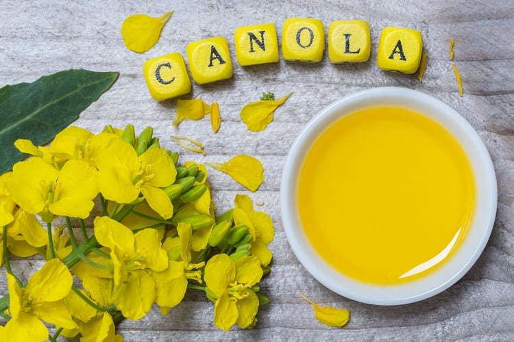 Cargill develops stable canola oil with low saturated fat and ‘improved flavour’