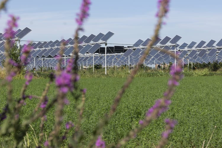 How energy and food production can coexist: ‘We have an opportunity to address the clean energy transition and the increased demand for food’