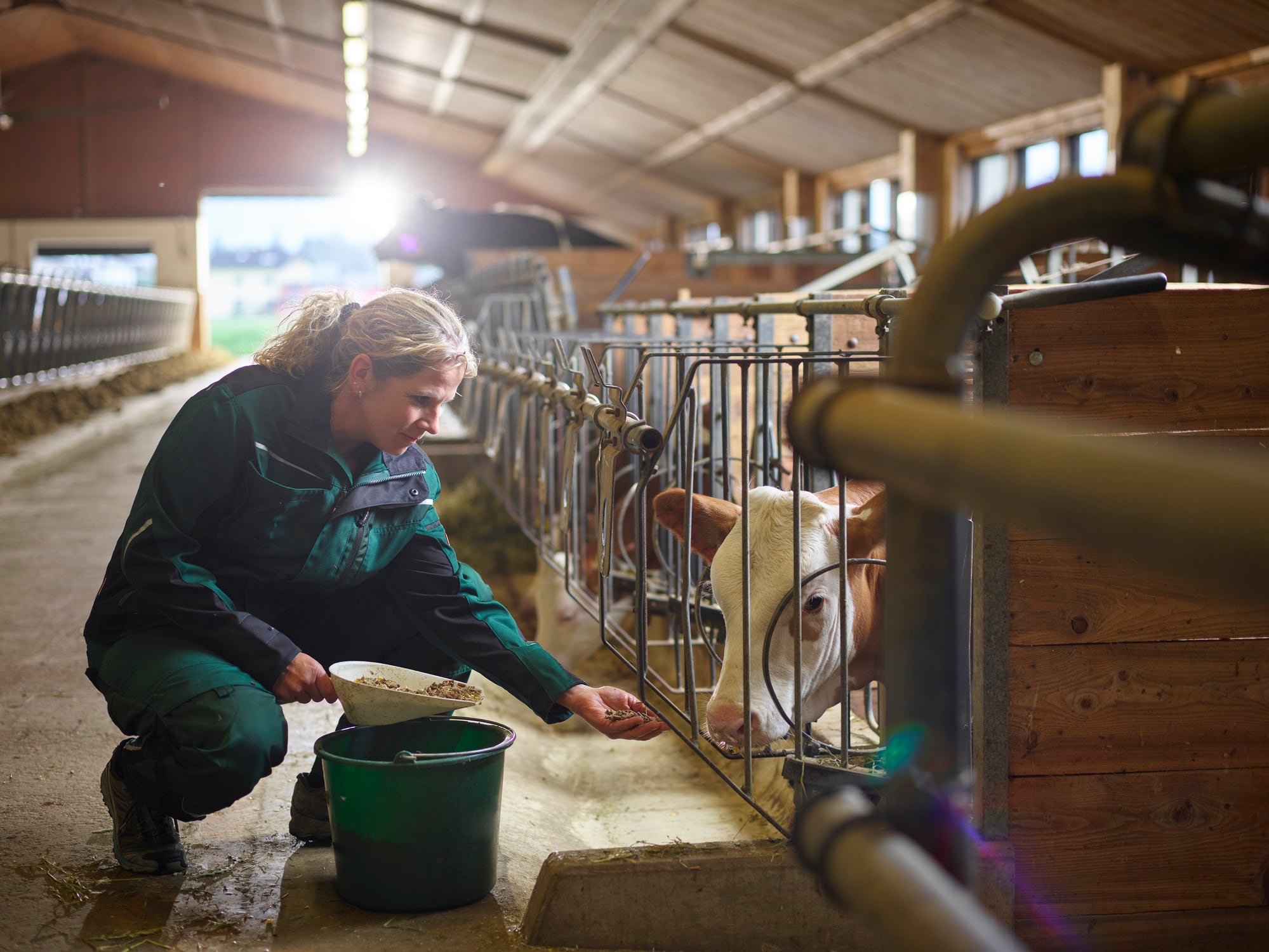 Meat-essential-to-sustainable-farming-says-the-Sustainable-Food-Trust.jpg