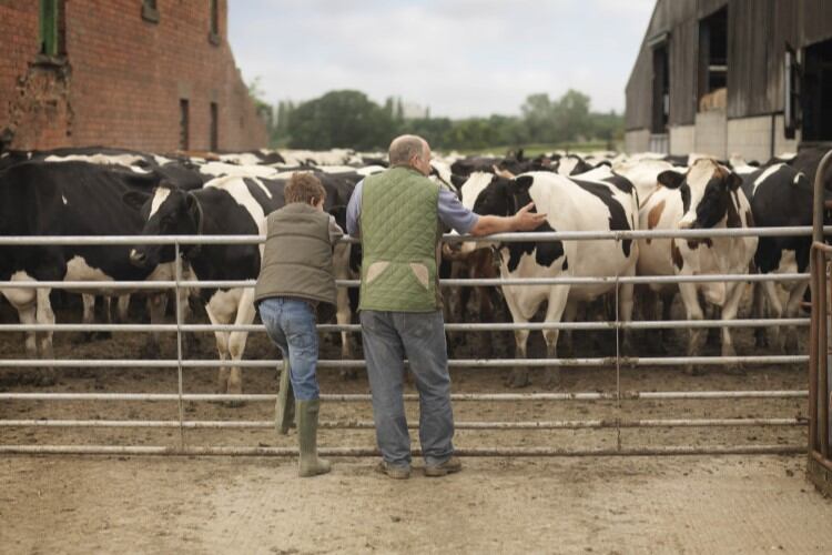 British dairy continues to consolidate as producer numbers slip