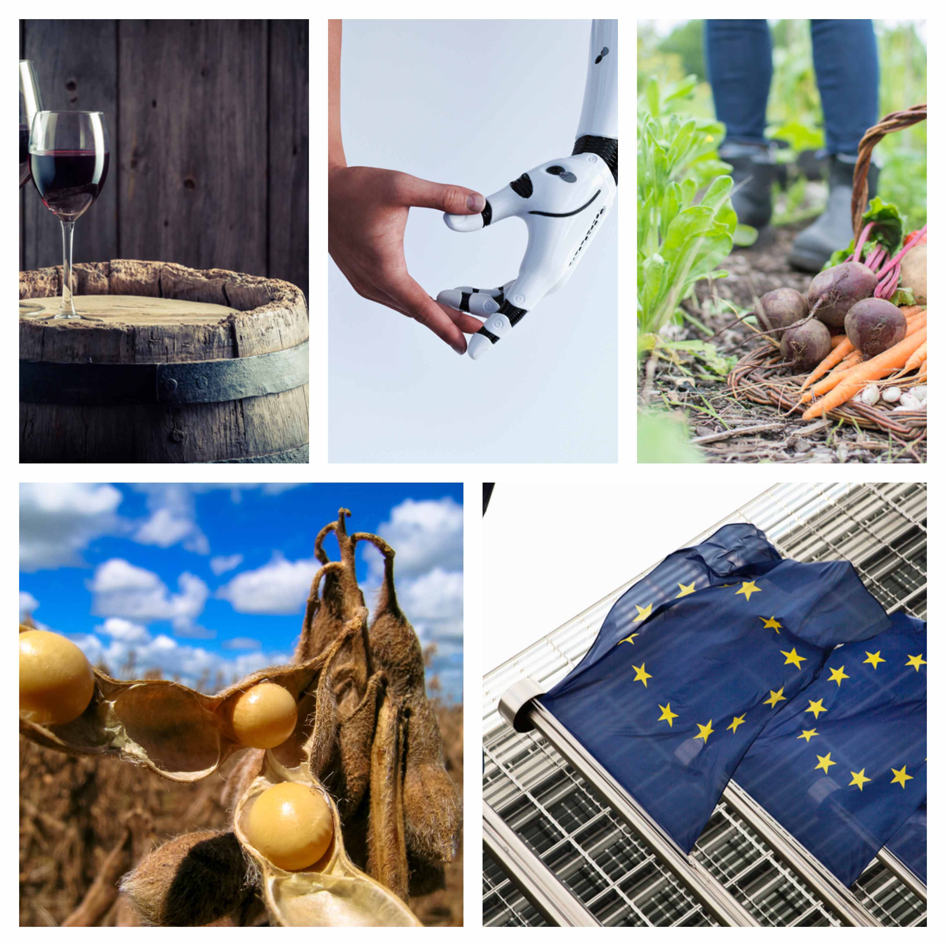 Artificial intelligence, illegal fishing and export success: A round-up of EU news & views