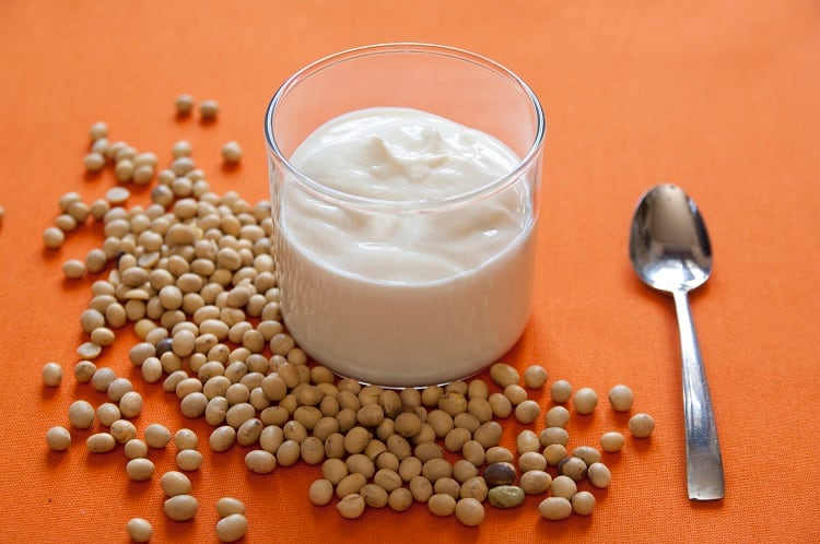 Vegan ‘yogurt’ fermented with lactic acid bacteria from plants an industry first, claim researchers