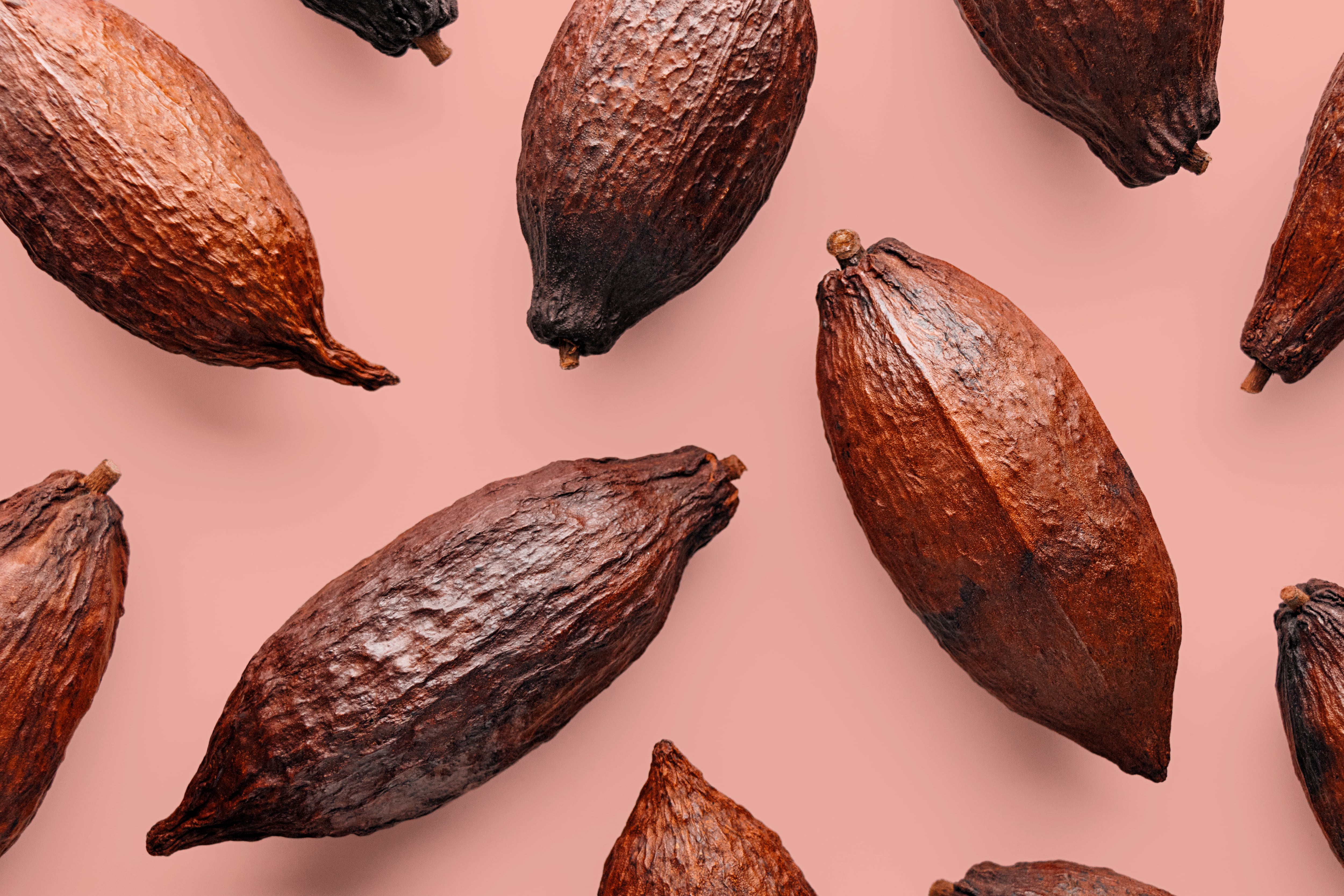 Cocoa crisis: Futures markets no longer protection for big food