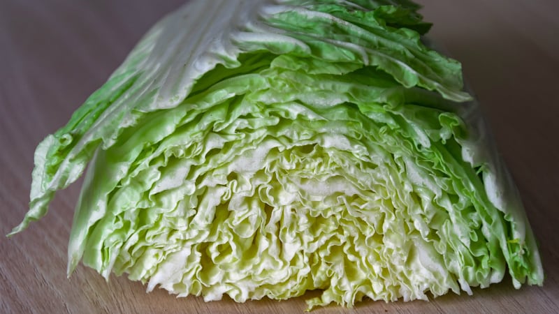 Helping hand: I-Mei Foods to purchase 150 tonnes of cabbage to help Taiwanese farmers