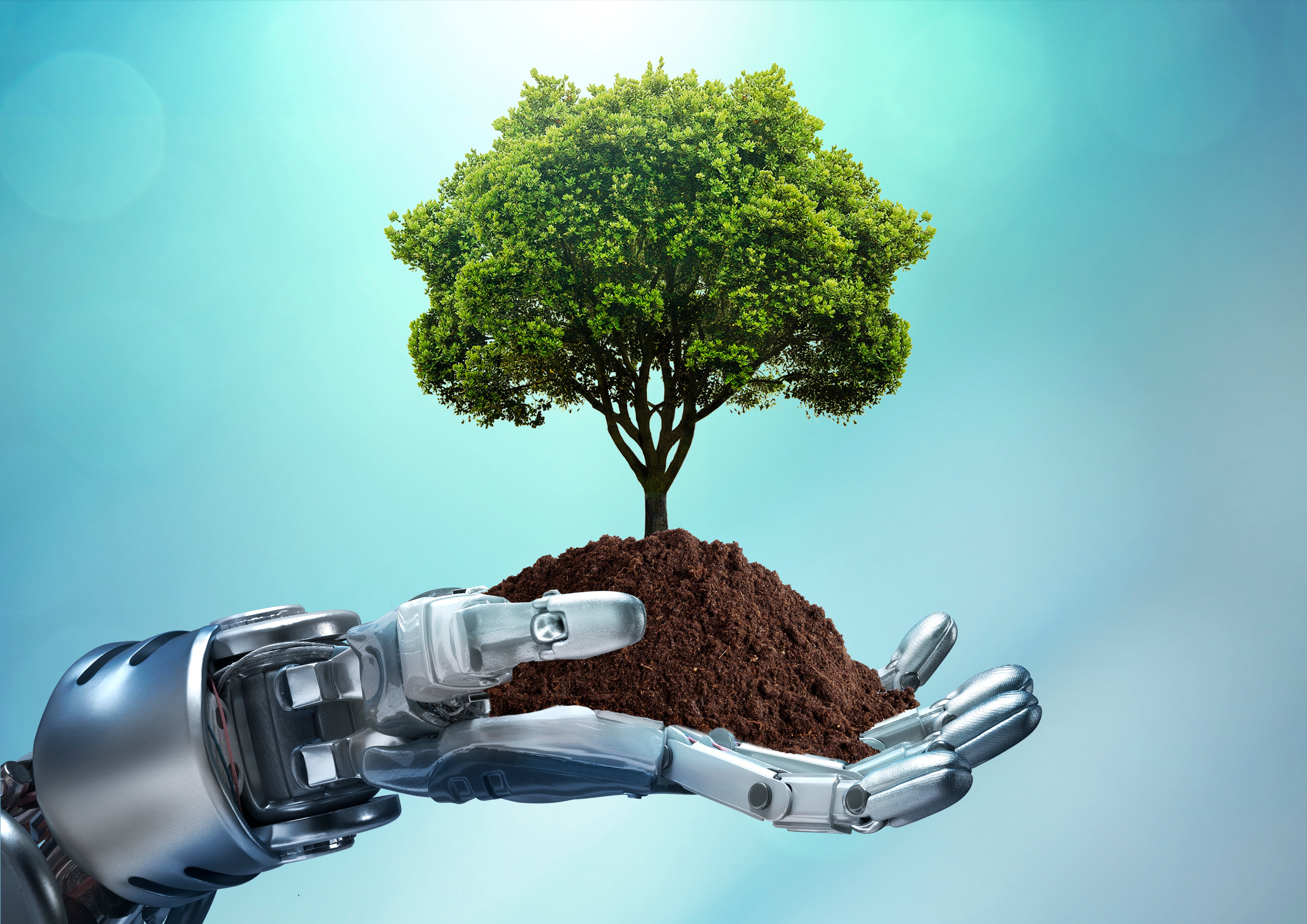 Robot holding a tree