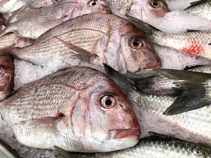 Fish-fraud-findings-Almost-20-of-fish-in-Taiwan-found-to-be-mislabelled-study.jpg