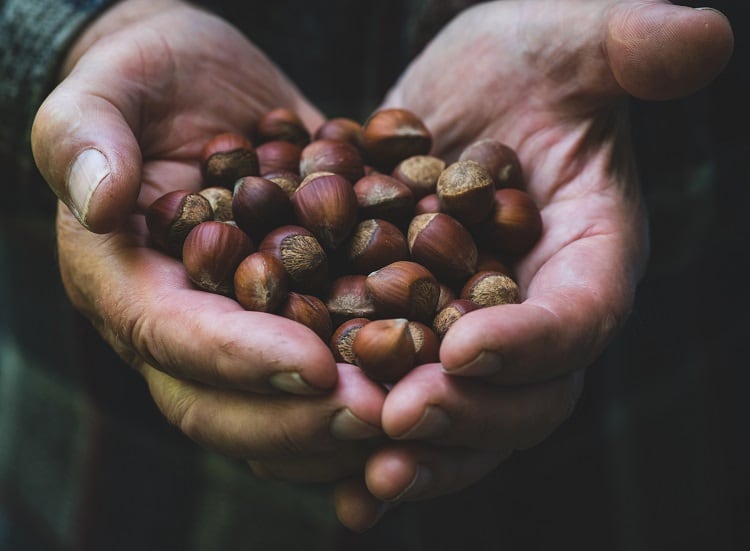 hazelnuts-Mindstyle.jpg