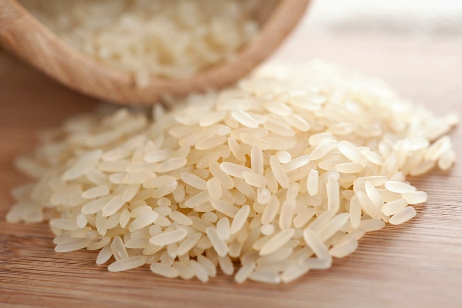 Roquette-adds-rice-protein-to-plant-based-protein-ingredient-toolbox.jpg