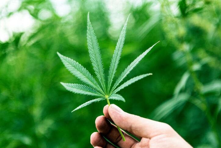 Coca-Cola and PepsiCo: No plans to enter cannabis space at the moment