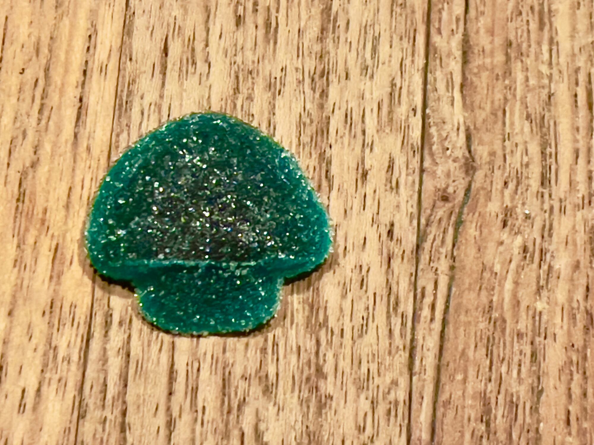 Edible mushroom gummie