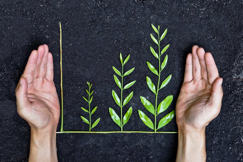 Sustainability_green_eco-friendly_business_iStock.jpg