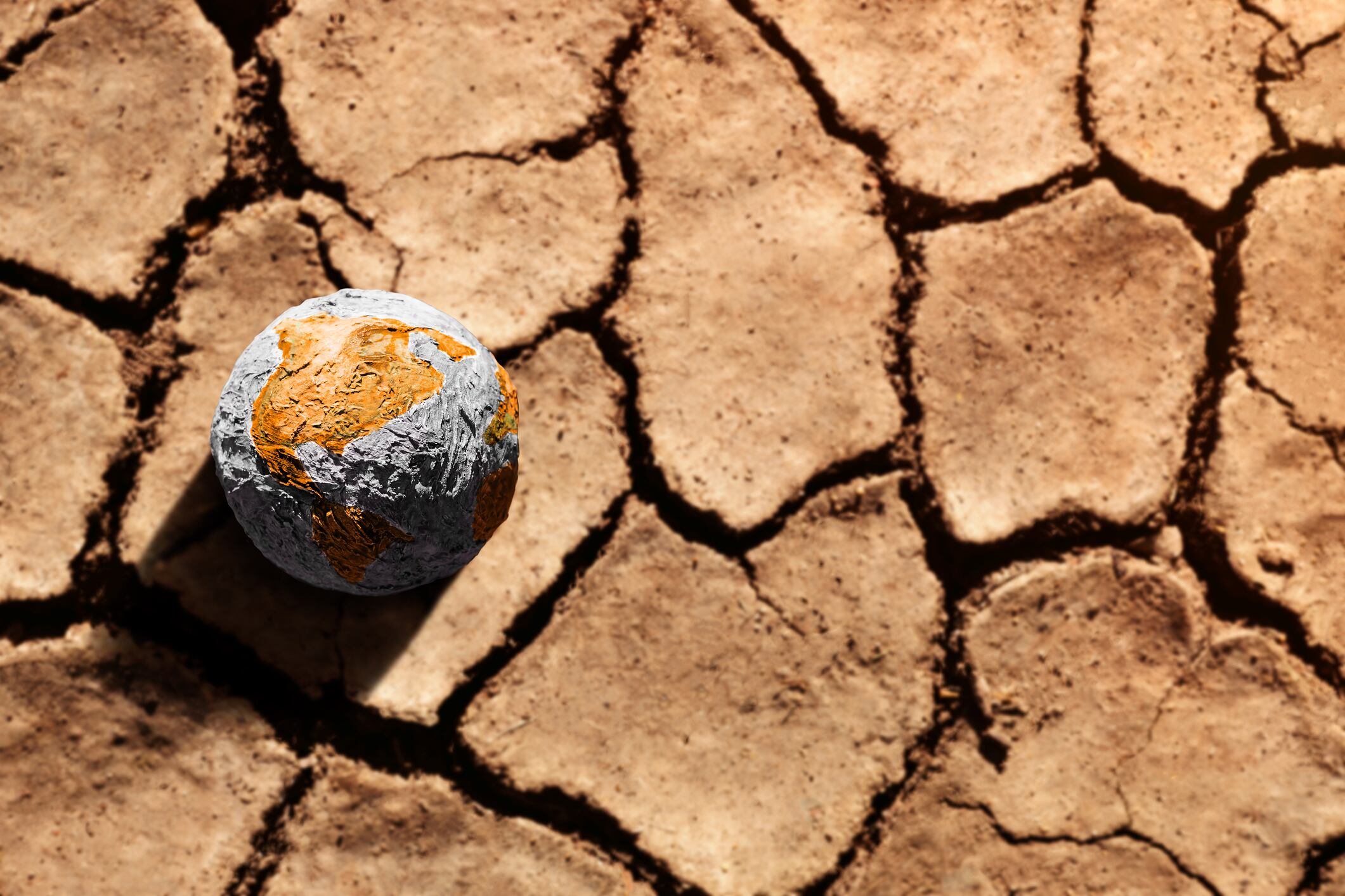 El Niño: How it will impact food and beverage