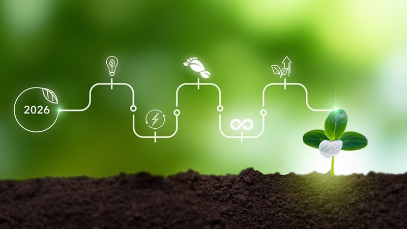 Asia sustainability report: Protein sources, food safety gaps strain progress