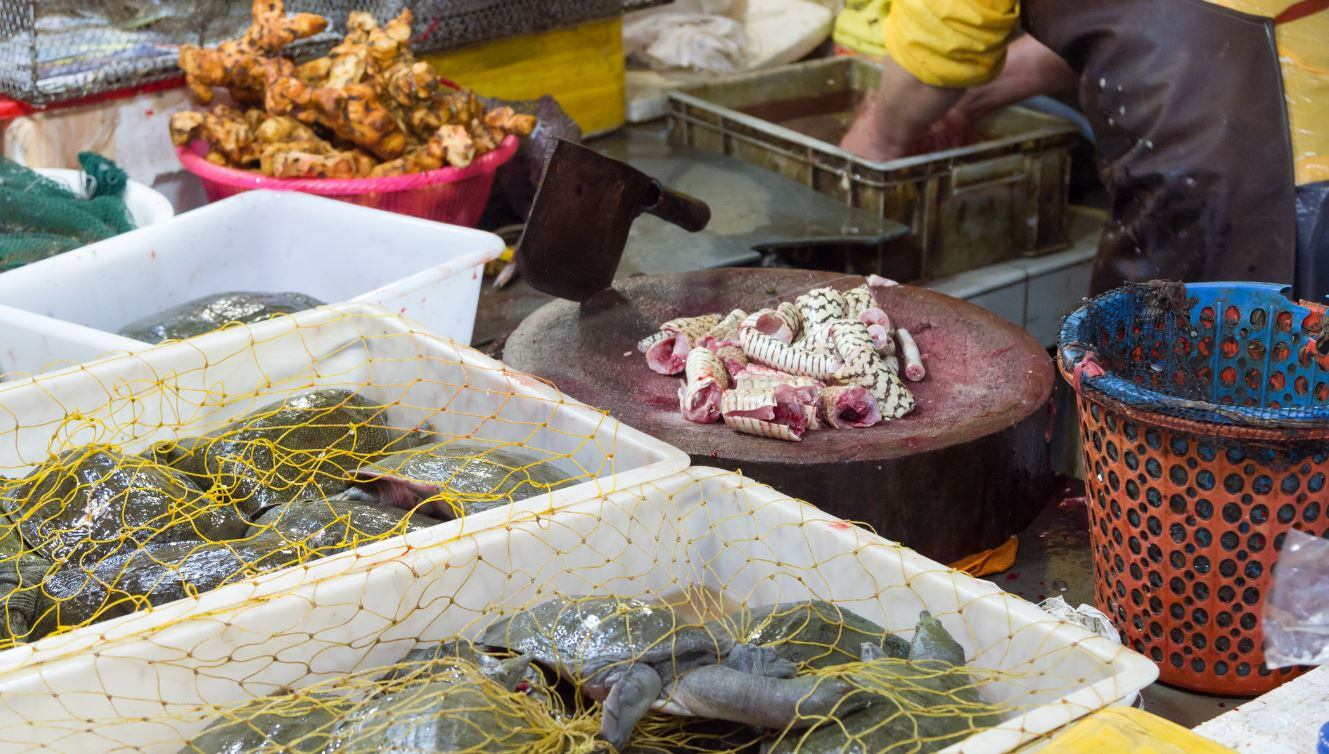 China-coronavirus-Calls-to-ban-live-animal-sales-in-wet-markets-to-halt-future-outbreaks.jpg