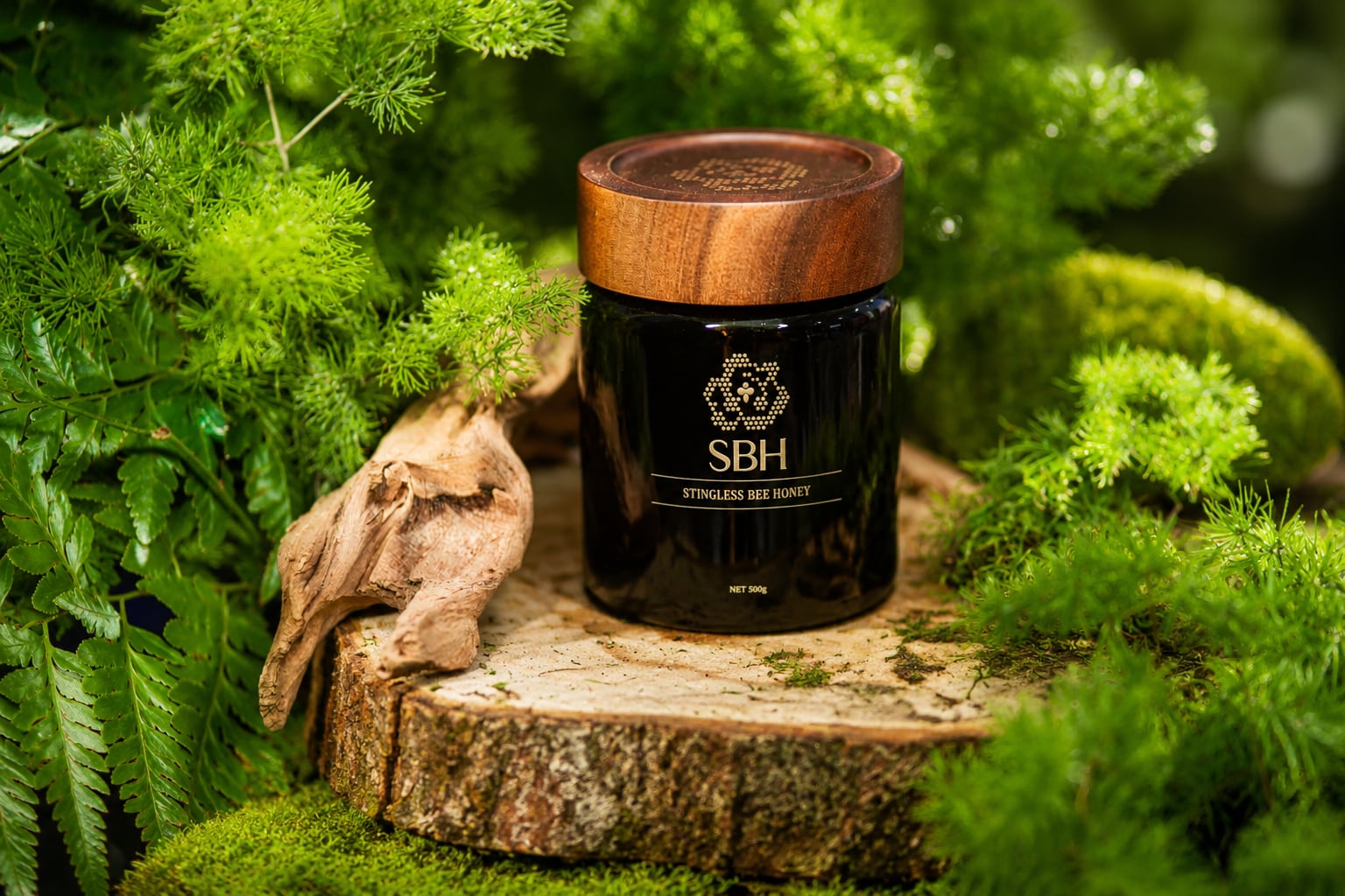 The world’s first certified stingless bee honey was officially unveiled in Kuala Lumpur, carrying FERA Certification and low GI scientific validation.