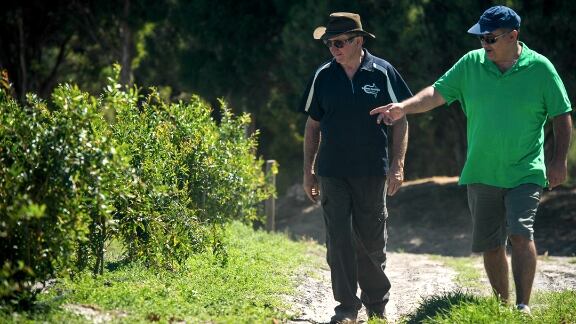 PomPersia-founder-Omid-Rad-right-inspects-young-pomegranate-trees-with-Adelaide-Hills-farmer-Patrick-Ryan.jpg