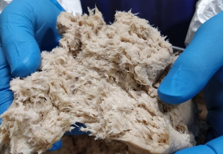 Our-food-culture-is-changing-at-a-rapid-pace-Hormel-Foods-teams-up-with-The-Better-Meat-Co-to-develop-meat-alternatives-featuring-Rhiza-mycoprotein.jpg