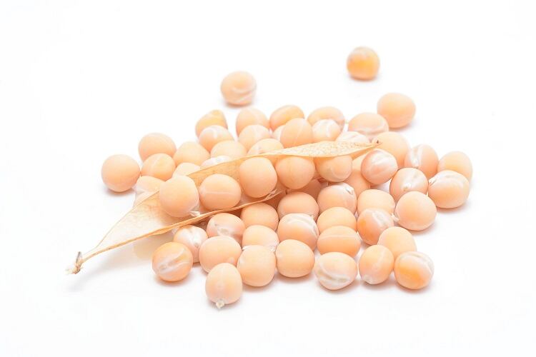 Pea-protein-milk-Start-up-taps-hottest-commodity-for-sugar-free-dairy-alternative.jpg