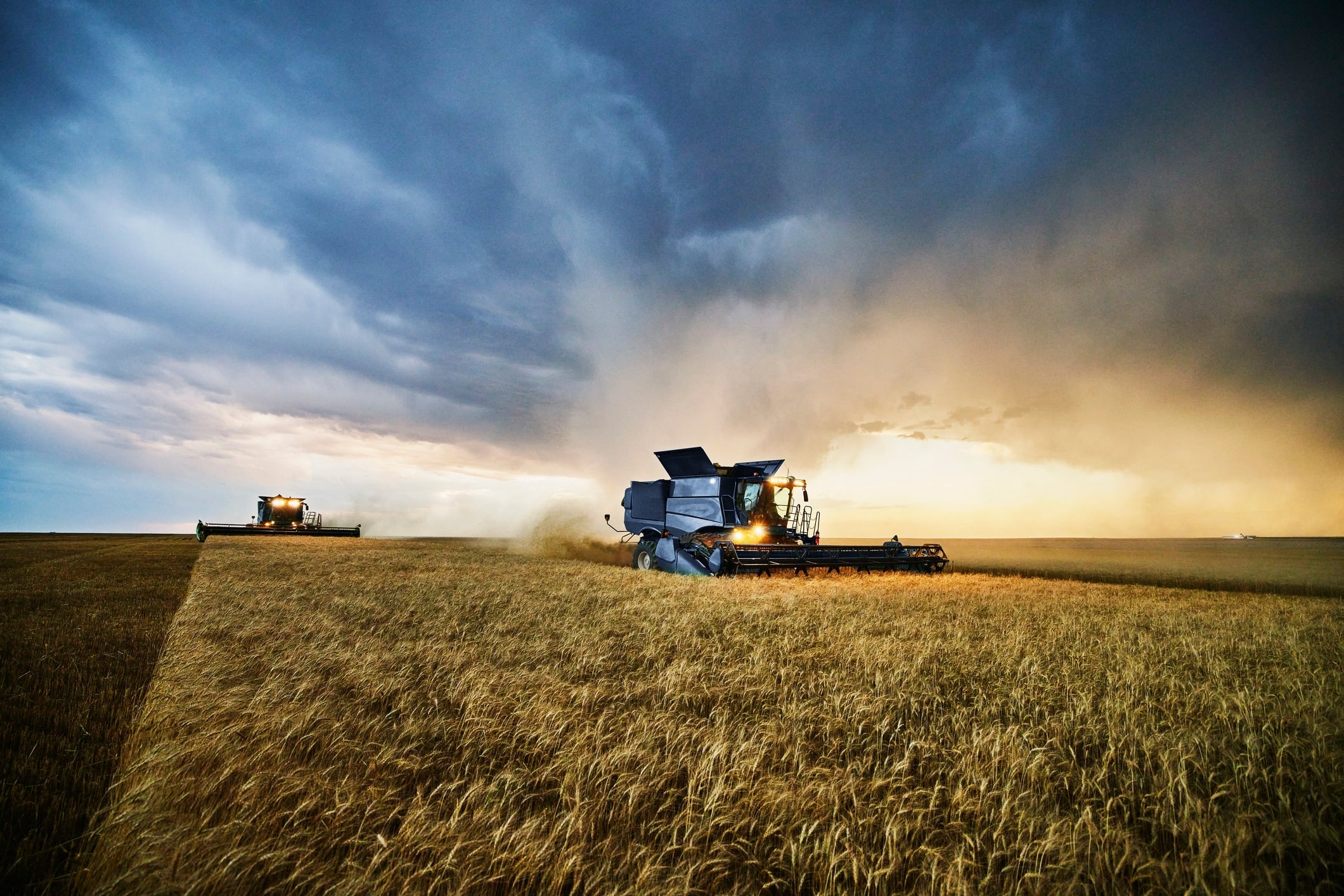 Can AI protect future food security?