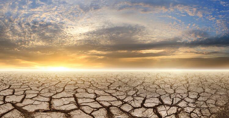 Climate Smart Food: Supply chain disruptions and water scarcity in focus