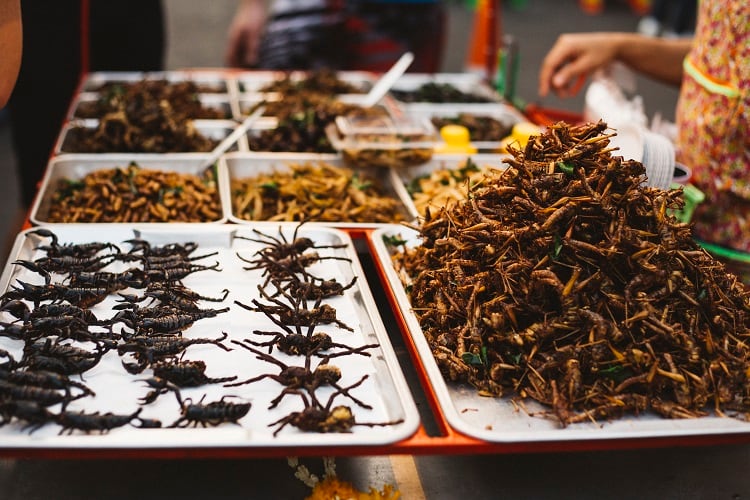 Interest in eating insects can be increased, study shows