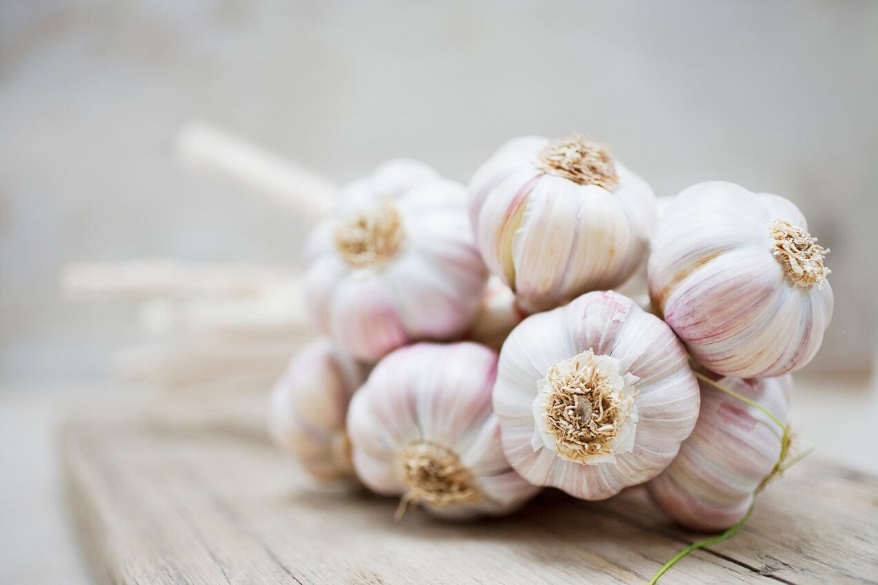 Brightseed & Olam partner to unlock novel bioactives in pepper & garlic