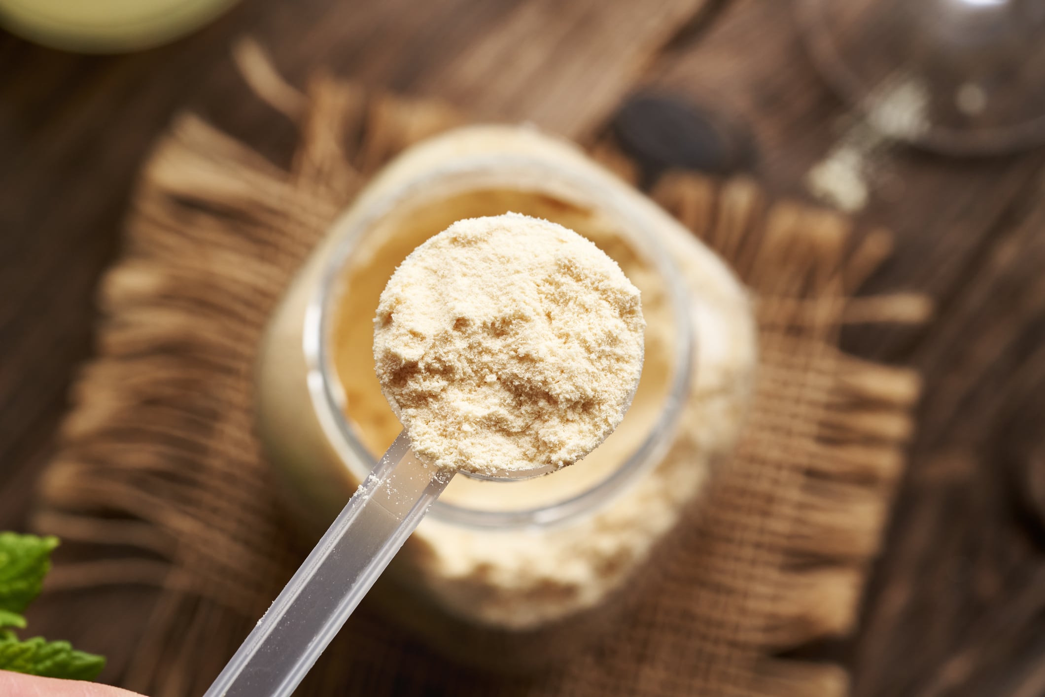 Protein powder