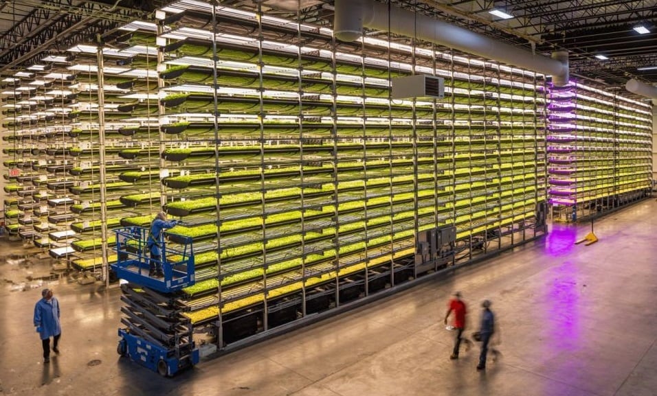 AeroFarms-addresses-environmental-sustainability-concerns-with-aeroponic-growing-techniques.jpg