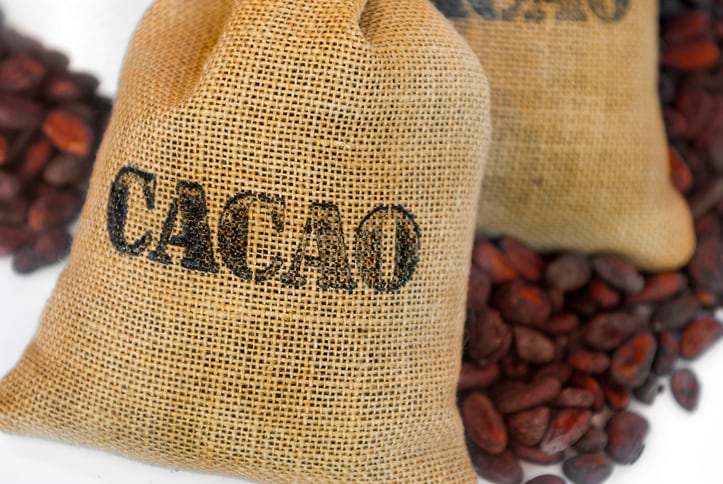From ‘revolutionary’ tech to empowering farmers: How Olam leverages its African footprint to improve cocoa sustainability