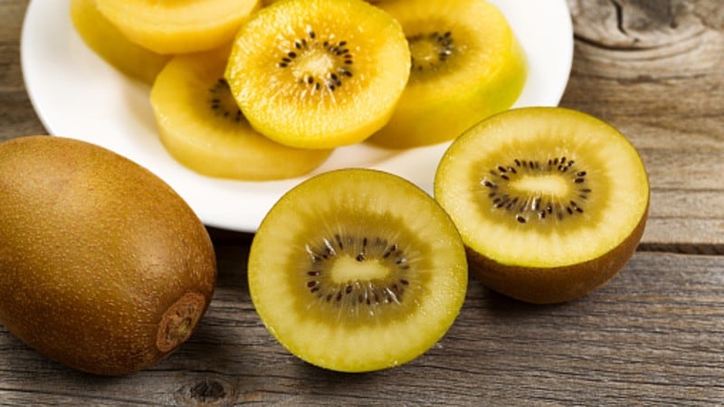 IP-Protection-in-China-Lessons-to-be-learnt-from-Zespri-s-loss-of-control-over-illegal-planting-of-its-gold-kiwifruit.jpg