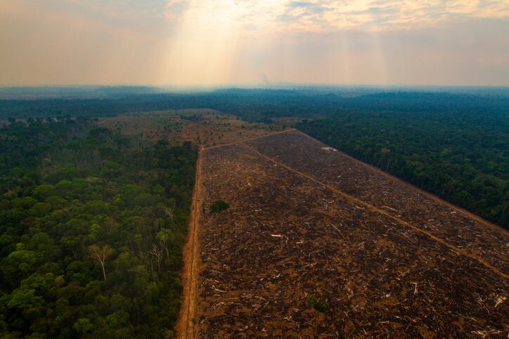 JBS makes fresh commitments to net-zero emissions and zero deforestation